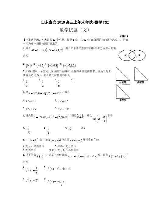 山东泰安2019高三上年末考试-数学(文)