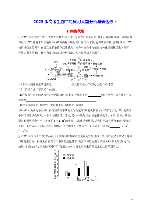 老高考新教材适用2023版高考生物二轮复习大题分析与表达练1细胞代谢(含答案)