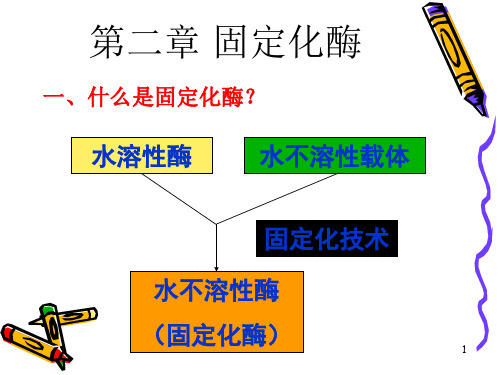 固定化酶资料