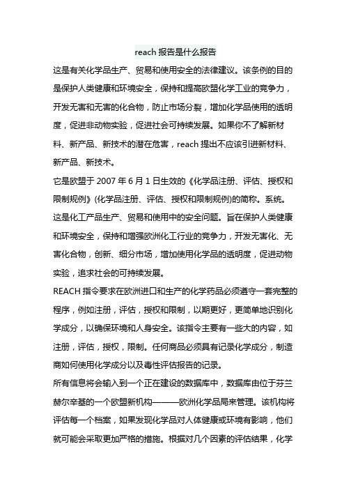 reach报告是什么报告