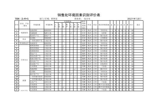 销售处环境因素识别评价表(销售)