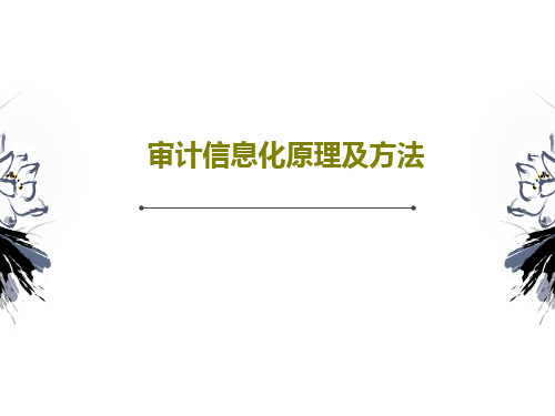 审计信息化原理及方法30页PPT