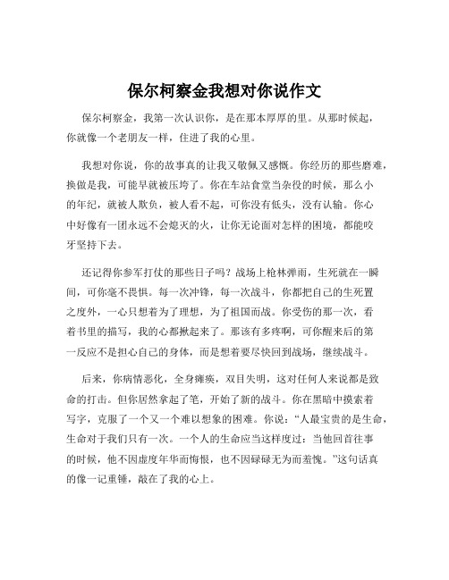 保尔柯察金我想对你说作文