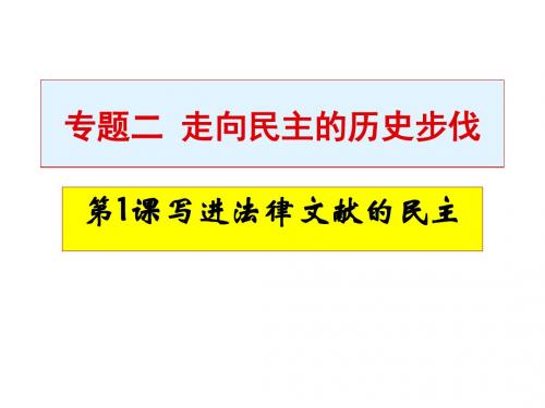 写进法律文献的民主ppt 人民版