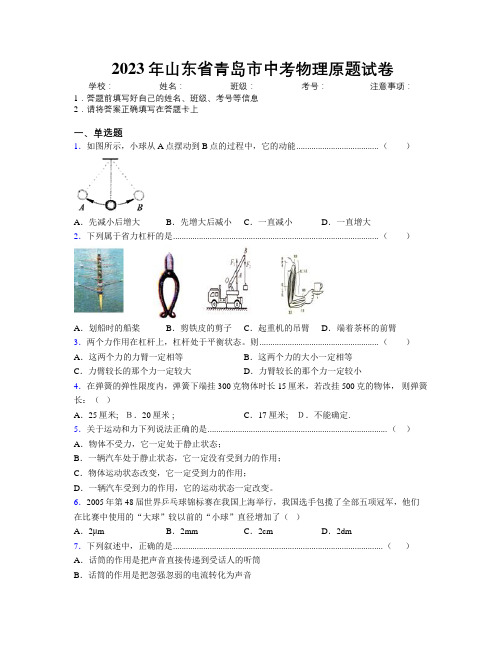 2023年山东省青岛市中考物理原题试卷及解析