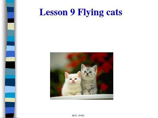 lesson-9-Flying-cats-新概念3课件