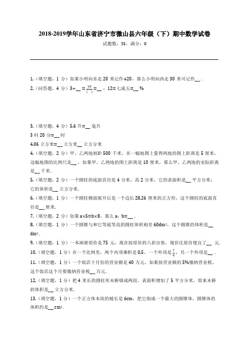 2018-2019学年山东省济宁市微山县六年级(下)期中数学试卷