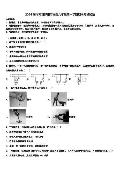 2024届河南省郑州市物理九年级第一学期期末考试试题含解析