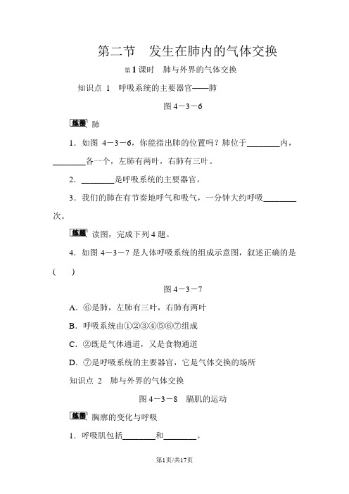 第三章第二节 第1课时 肺与外界的气体交换