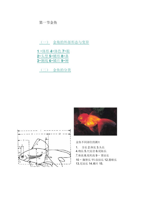 金鱼的形态与种类.