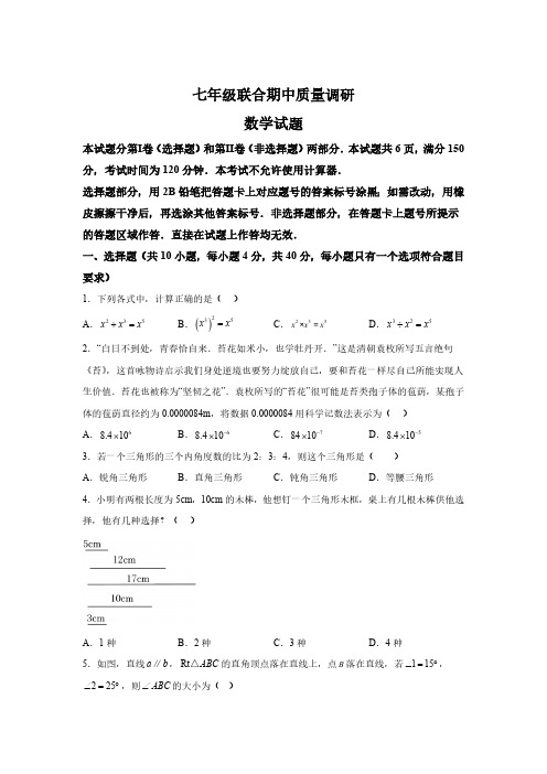 山东省济南市市中区四校联考2023-2024学年七年级下学期期中数学试题(含解析)