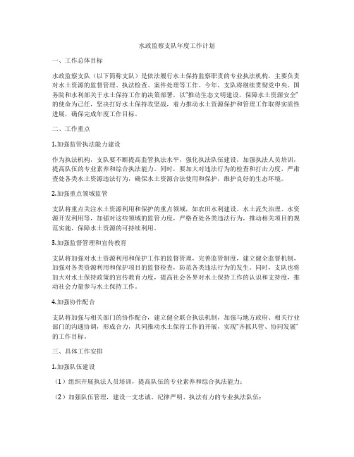 水政监察支队年度工作计划