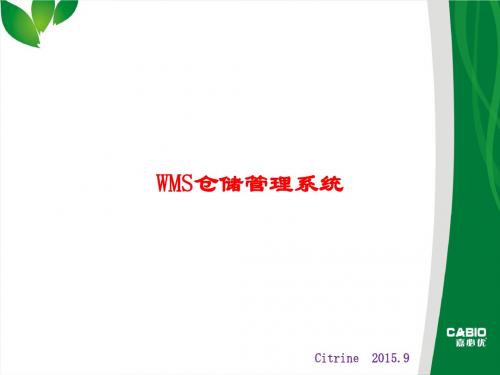 WMS仓储系统培训资料(20159)