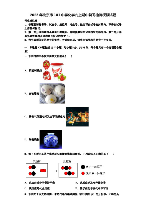 2023年北京市101中学化学九上期中复习检测模拟试题含解析