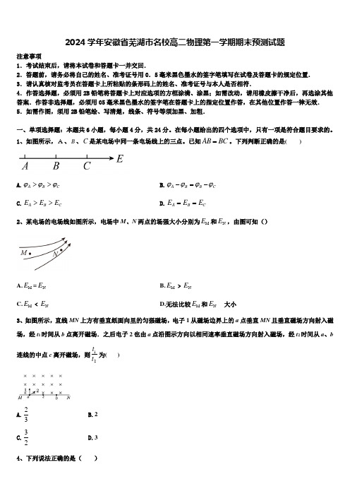 2024学年安徽省芜湖市名校高二物理第一学期期末预测试题含解析