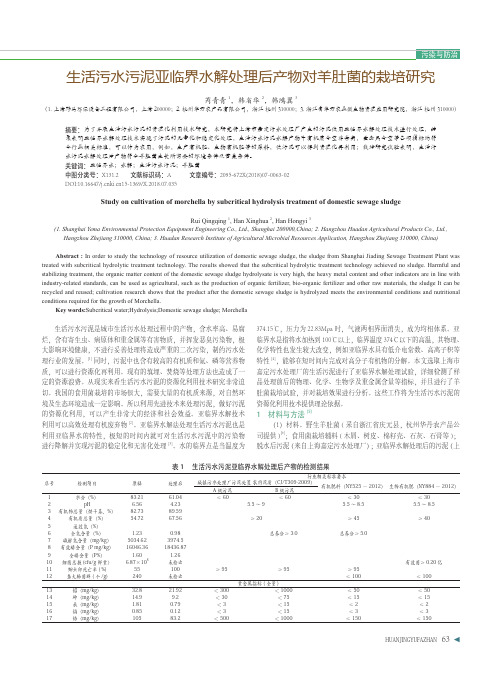 生活污水污泥亚临界水解处理后产物对羊肚菌的栽培研究