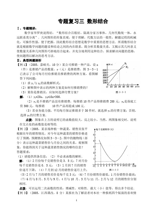 初中数学专题复习数形结合(含答案)