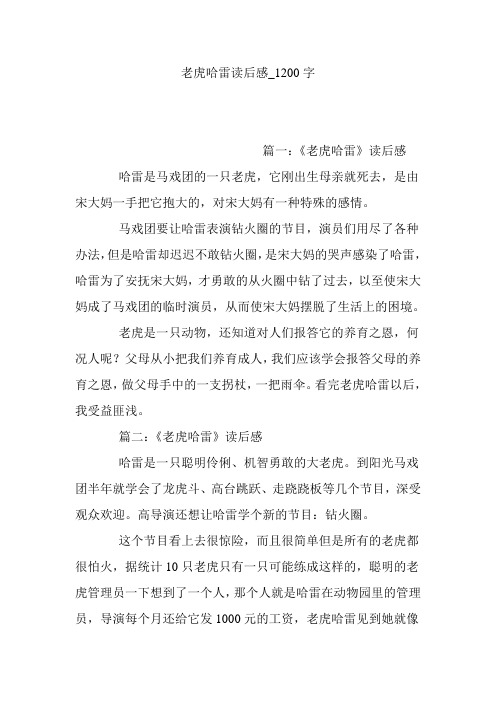 老虎哈雷读后感_1200字