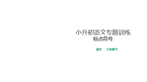 小升初语文总复习课件 4 标点符号专题(通用版)(共45张PPT)