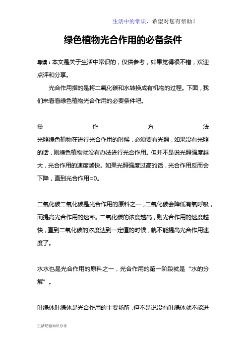 绿色植物光合作用的必备条件