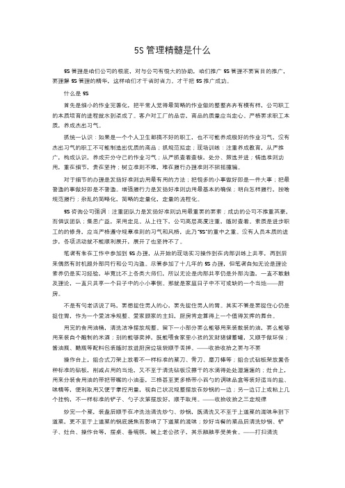 5S管理精髓是什么