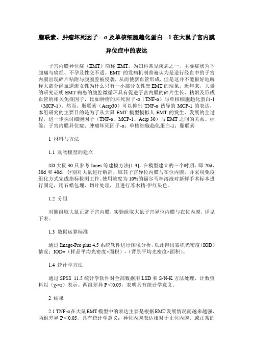 脂联素、肿瘤坏死因子—α及单核细胞趋化蛋白—1在大鼠子宫内膜异位症中的表达