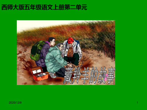 藏羚羊的故事ppt(西师大版)PPT优质课件