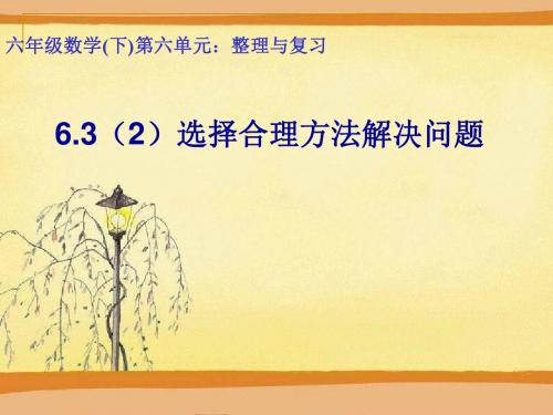 青岛版小学六年级数学下册回顾整理-数与代数-3解决问题(2)