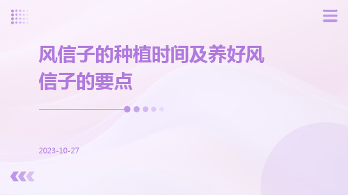 风信子的种植时间及养好风信子的要点