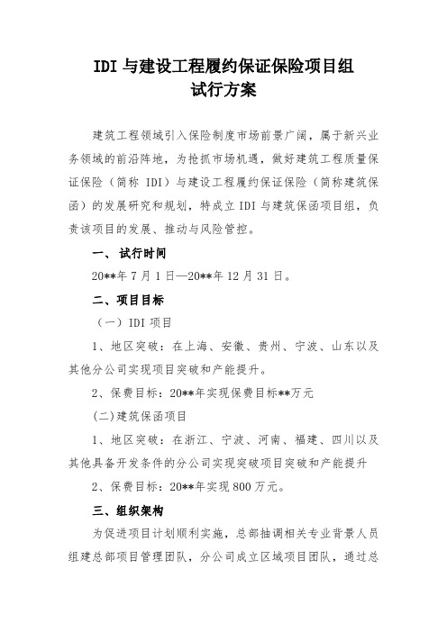 保险公司IDI项目组试行方案【精品文档】