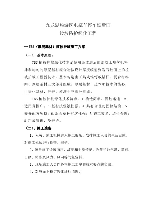 TBS及锚杆施工方案