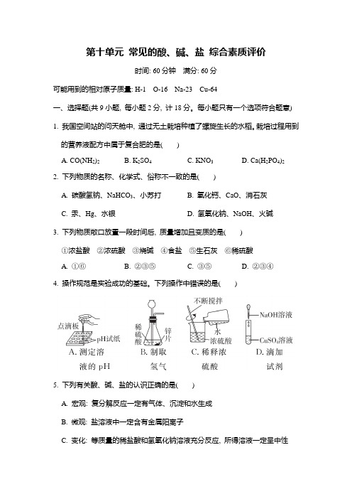 第十单元 常见的酸、碱、盐 综合素质评价 人教版(2024)化学九年级下册