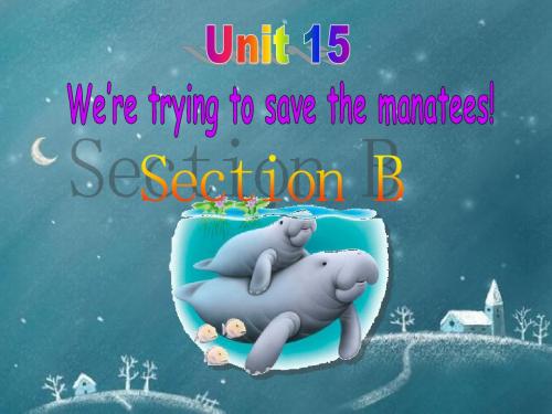人教版九年级英语Unit15SectionB2课件