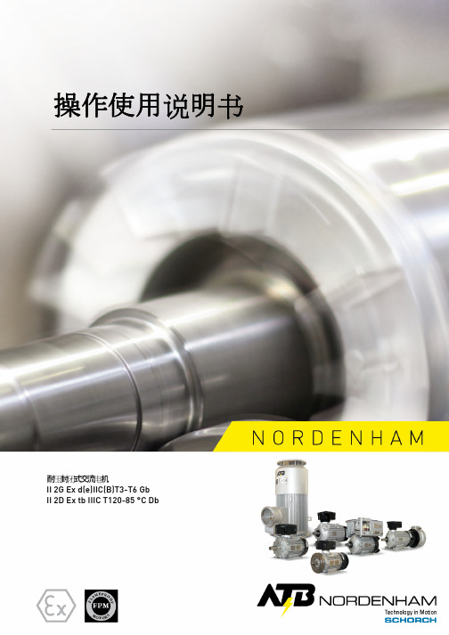 atb nordenham cnatb 防爆电机 使用说明书