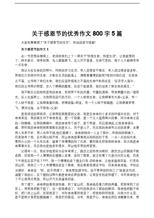 关于感恩节的优秀作文800字5篇