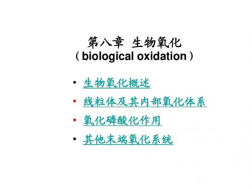 第八章 生物氧化和能量转换