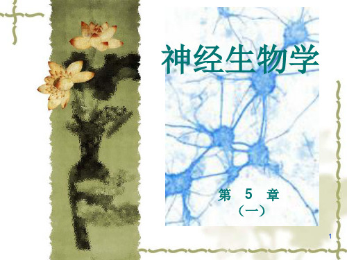 神经生物化学和药理学基础课件