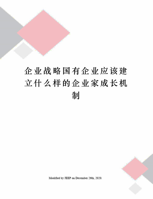 企业战略国有企业应该建立什么样的企业家成长机制