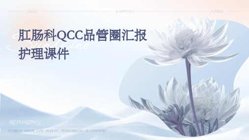 肛肠科QCC品管圈汇报护理课件