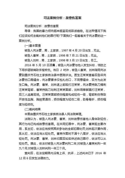 司法案例分析：故意伤害案