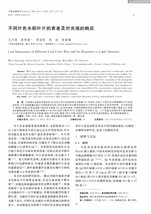 不同叶色水稻叶片的衰老及对光强的响应