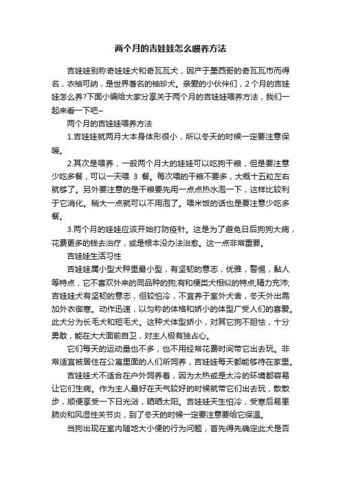 两个月的吉娃娃怎么喂养方法