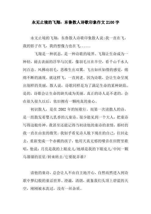 永无止境的飞翔：东鲁散人诗歌印象作文2100字.docx