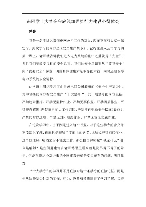 南网学十大禁令守底线加强执行力建设心得体会