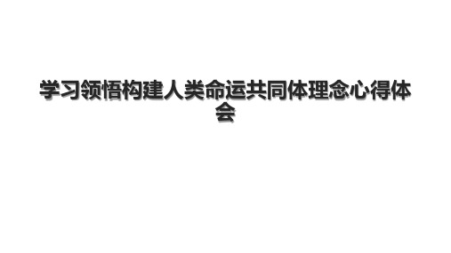 学习领悟构建人类命运共同体理念心得体会