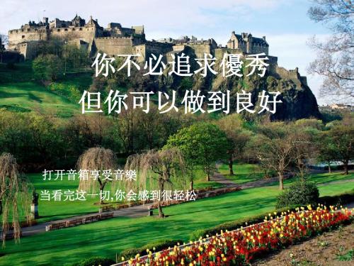 压力与人生 相关PPT 你不必追求优秀