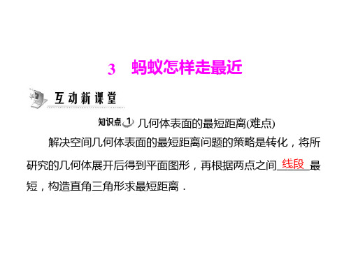 [原创]《随堂优化训练》数学 北师大版 八年级  第一章 3 蚂蚁怎样走最近 [配套]PPT课件
