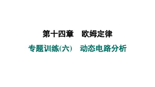 欧姆定律 专题训练(六) 动态电路分析 课件 2024-2025学年苏科版物理九年级全一册