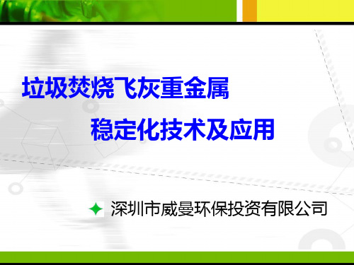 生活垃圾焚烧飞灰重金属稳定化技术及应用-PPT精选文档