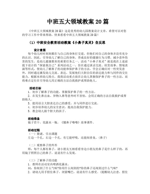 中班五大领域教案20篇